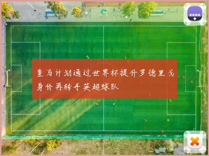 皇马计划通过世界杯提升罗德里戈身价再转手英超球队