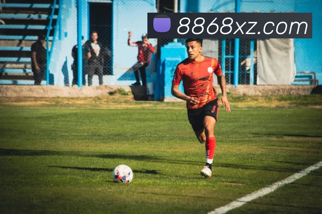 8868体育APP平台生态图