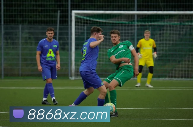 8868体育APP全站App